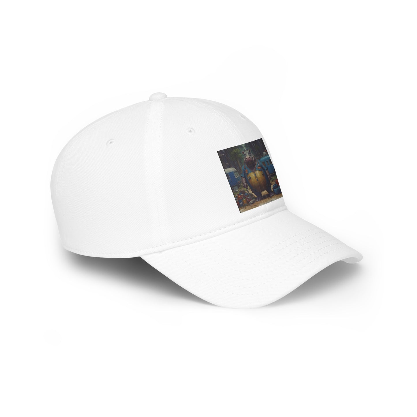 Low Profile Baseball Cap